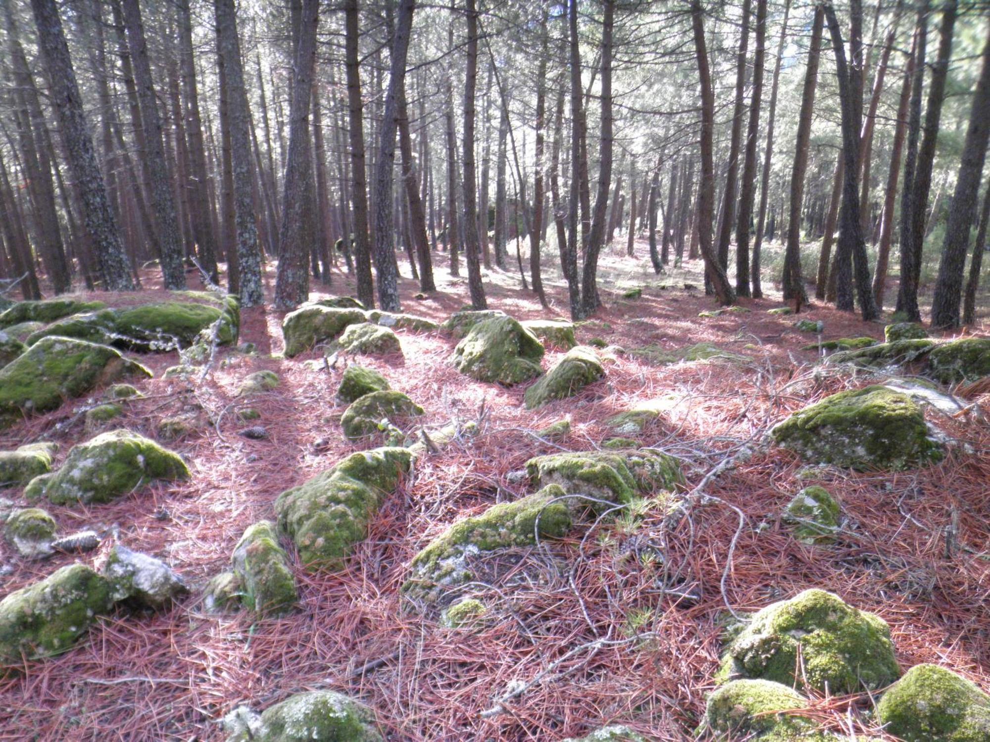 La Chova Villa Piedralaves Kültér fotó
